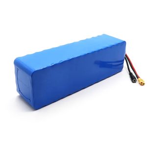 lithium ion battery 48v 30ah