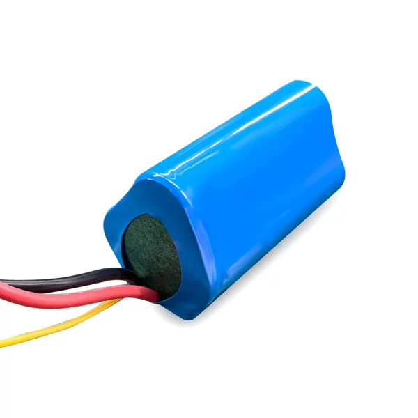 high capacity lithium ion battery for e bikes