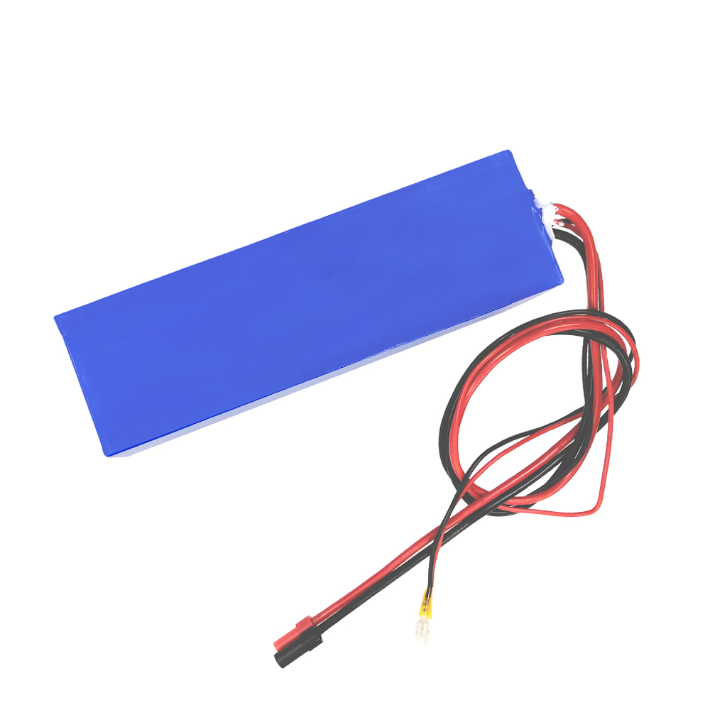 48V 10Ah lithium ion battery