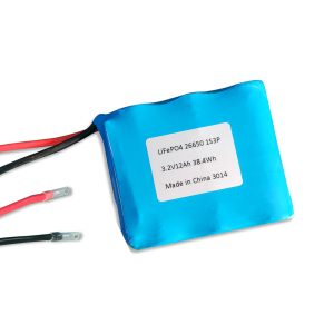 customizable lifepo4 battery