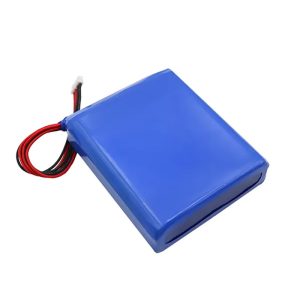 custom ternary lithium ion battery